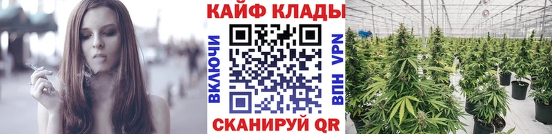 Купить наркотик аптеки Сургут Бошки Шишки  Галлюциногенные грибы  Метадон  ГАШ  Alpha-PVP  АМФЕТАМИН 