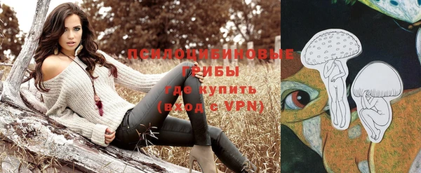 apvp Гусиноозёрск