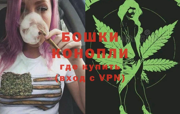 ешки Гусев