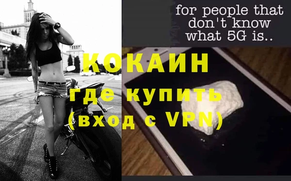 ешки Гусев