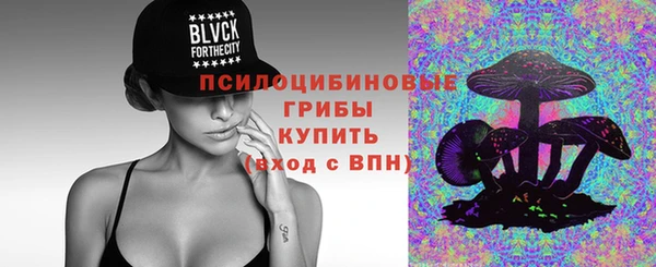 ешки Гусев