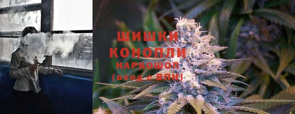 apvp Гусиноозёрск