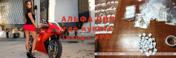 apvp Гусиноозёрск