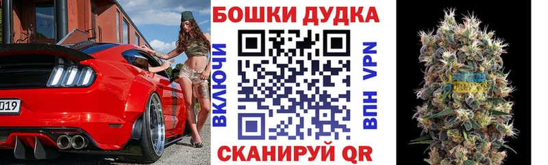 Бошки марихуана Amnesia  цены наркотик  Сургут 